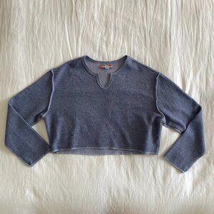 Urban Outfitters Cropped Sweater (szx XS)